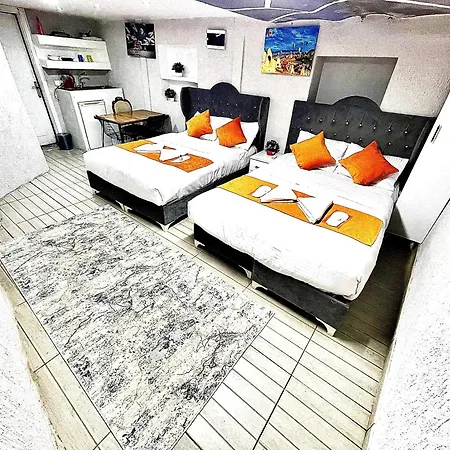 شقة فندقية Taksim Luxury Mansion *